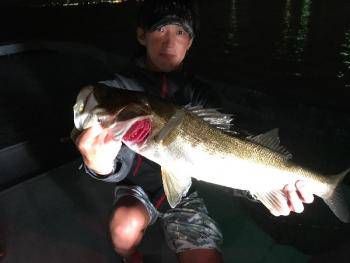 シーマジカル 釣果