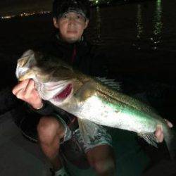 シーマジカル 釣果