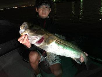 シーマジカル 釣果