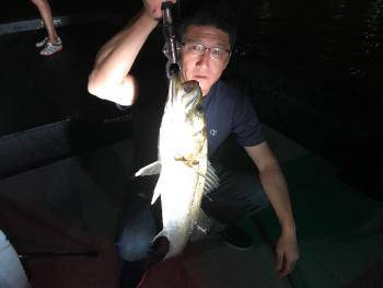 シーマジカル 釣果