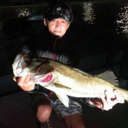 シーマジカル 釣果