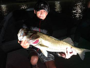 シーマジカル 釣果