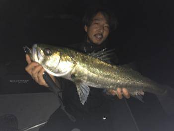 シーマジカル 釣果