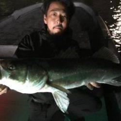 シーマジカル 釣果