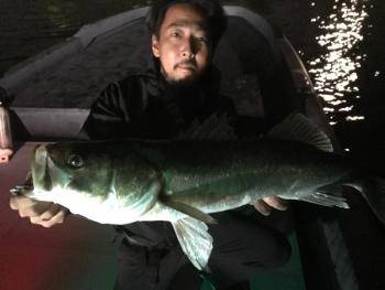 シーマジカル 釣果