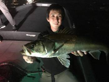 シーマジカル 釣果