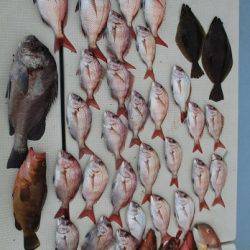 海人丸（うみんちゅまる） 釣果