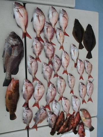 海人丸（うみんちゅまる） 釣果