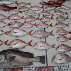 海人丸(うみんちゅまる) 釣果