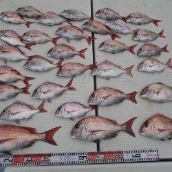 海人丸(うみんちゅまる) 釣果