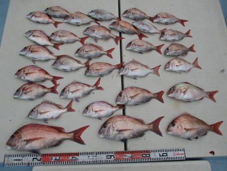 海人丸(うみんちゅまる) 釣果