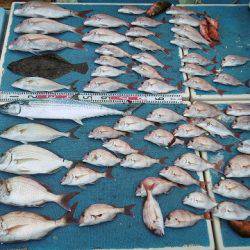 十八宝洋丸 釣果