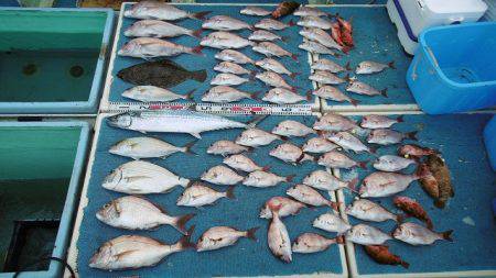 十八宝洋丸 釣果