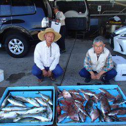 久六釣船 釣果