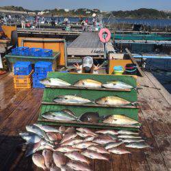 みうら海王 釣果