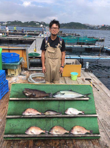 みうら海王 釣果