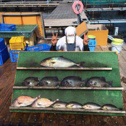 みうら海王 釣果
