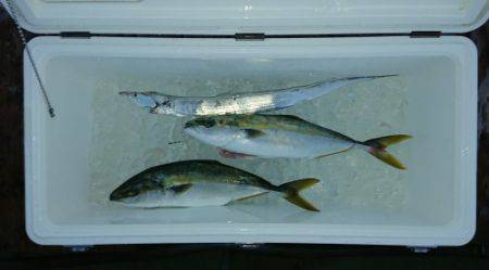 火遠理丸（ほおりまる） 釣果