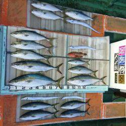 火遠理丸（ほおりまる） 釣果