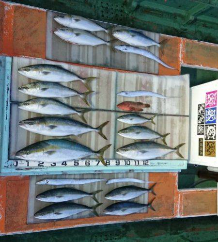 火遠理丸（ほおりまる） 釣果