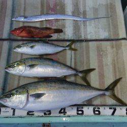 火遠理丸（ほおりまる） 釣果