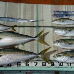 火遠理丸（ほおりまる） 釣果