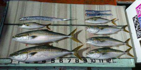 火遠理丸（ほおりまる） 釣果