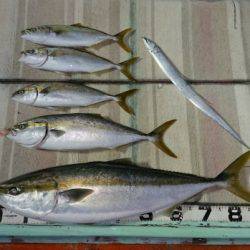 火遠理丸（ほおりまる） 釣果