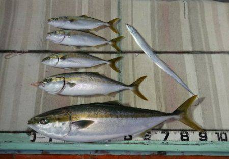 火遠理丸（ほおりまる） 釣果