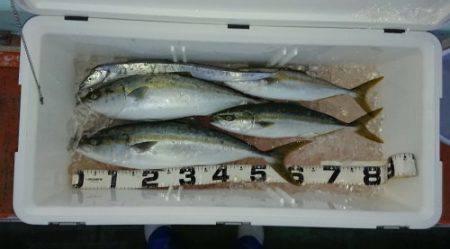 火遠理丸（ほおりまる） 釣果