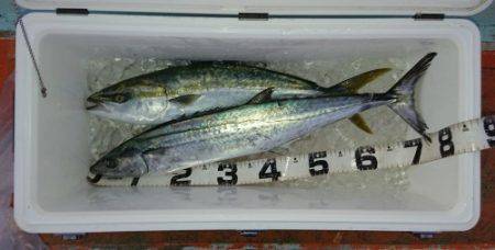 火遠理丸（ほおりまる） 釣果