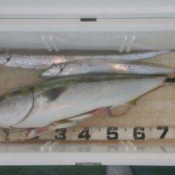 火遠理丸（ほおりまる） 釣果