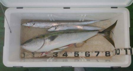 火遠理丸（ほおりまる） 釣果