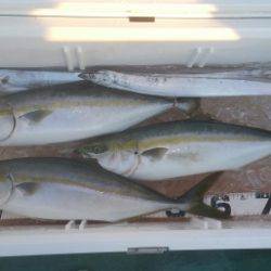 火遠理丸（ほおりまる） 釣果