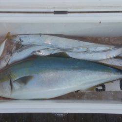 火遠理丸（ほおりまる） 釣果