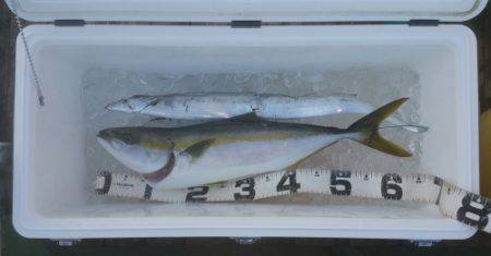 火遠理丸（ほおりまる） 釣果