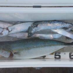 火遠理丸（ほおりまる） 釣果