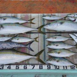 火遠理丸（ほおりまる） 釣果