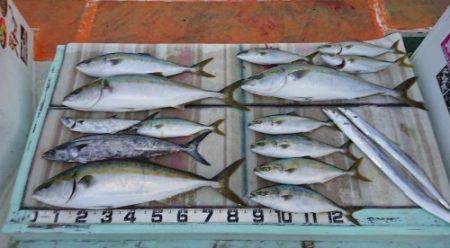 火遠理丸（ほおりまる） 釣果