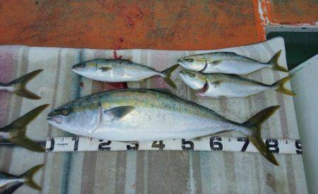 火遠理丸（ほおりまる） 釣果