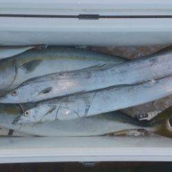 火遠理丸（ほおりまる） 釣果