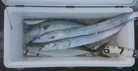 火遠理丸（ほおりまる） 釣果