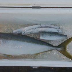 火遠理丸（ほおりまる） 釣果