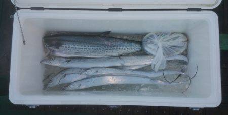 火遠理丸（ほおりまる） 釣果