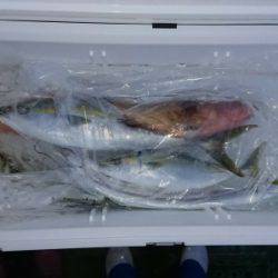 火遠理丸（ほおりまる） 釣果