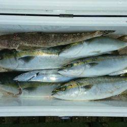 火遠理丸（ほおりまる） 釣果