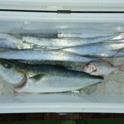 火遠理丸（ほおりまる） 釣果