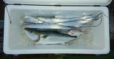 火遠理丸（ほおりまる） 釣果