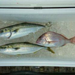 火遠理丸（ほおりまる） 釣果