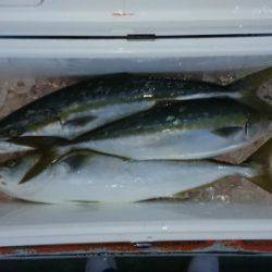 火遠理丸（ほおりまる） 釣果